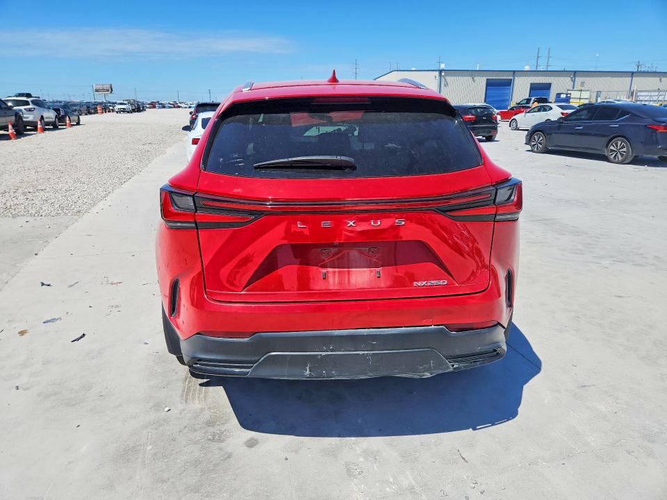 49074246 :رقم المزاد ، 2T2ADCAZ1PC005453 vin ، 2023 Lexus Nx 250 مزاد بيع