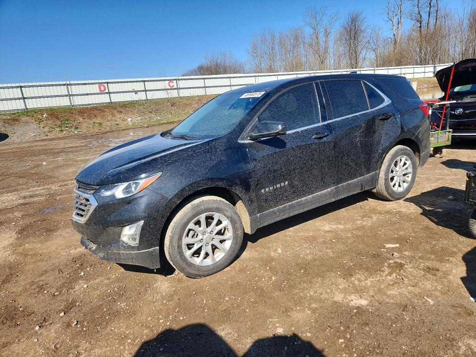 Auction sale of the 2020 Chevrolet Equinox, vin: 2GNAXTEV7L6118023, lot number: 48580576