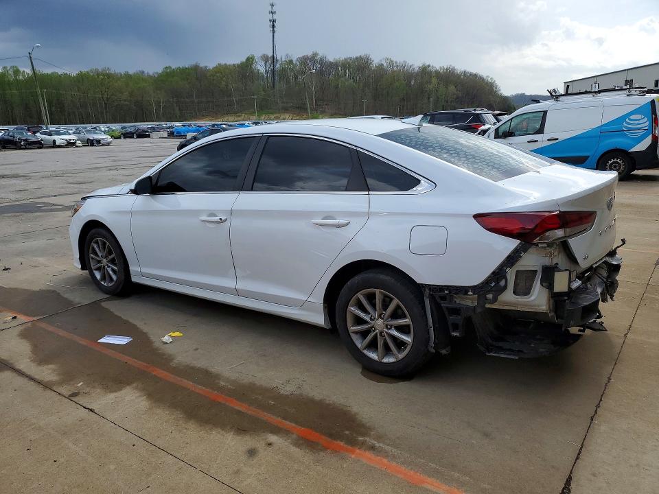 2019 Hyundai Sonata მანქანა იყიდება აუქციონზე, vin: 5NPE24AF5KH736447, აუქციონის ნომერი: 48680396