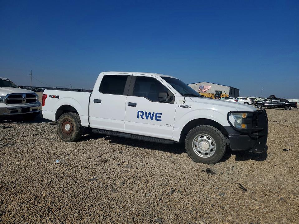 50955096 :رقم المزاد ، 1FTEW1EG0GKD25021 vin ، 2016 Ford F150 مزاد بيع
