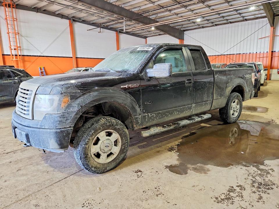 2011 Ford F150 მანქანა იყიდება აუქციონზე, vin: 1FTFX1EF7BFC21880, აუქციონის ნომერი: 48360146