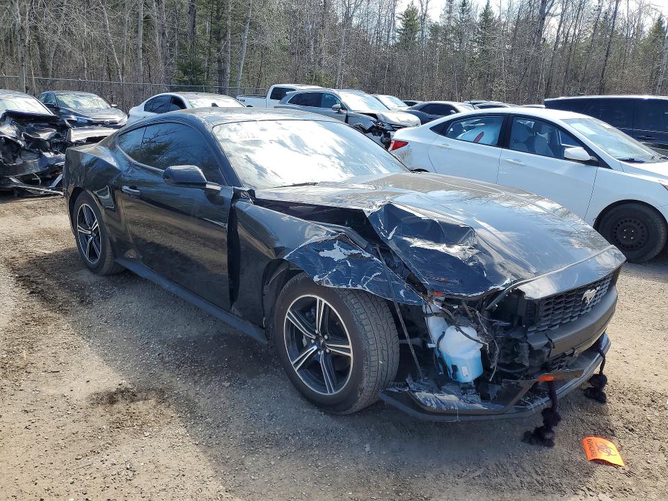 50737306 :رقم المزاد ، 1FA6P8TH5R5134045 vin ، 2024 Ford Mustang مزاد بيع