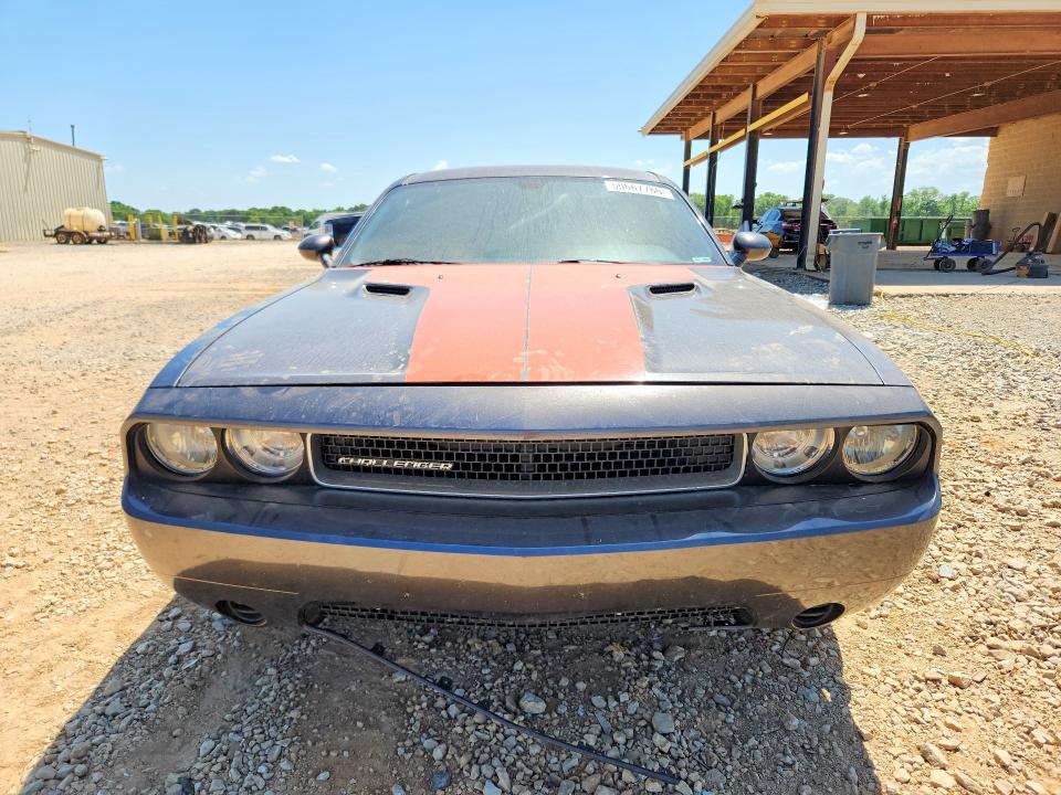 50667766 :رقم المزاد ، 2C3CDYAG8DH613405 vin ، 2013 Dodge Chlgr 2d مزاد بيع