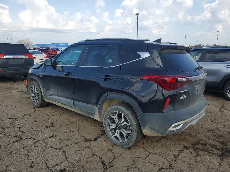Продажа на аукционе авто 2023 Kia Seltos, vin: KNDERCAA6P7413921, номер лота: 50531486