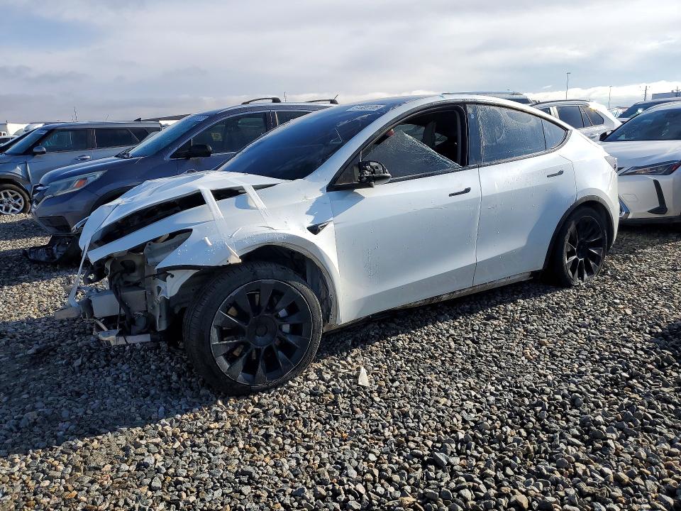 Продажа на аукционе авто 2022 Tesla Model Y, vin: 7SAYGDEE1NF480202, номер лота: 51600106