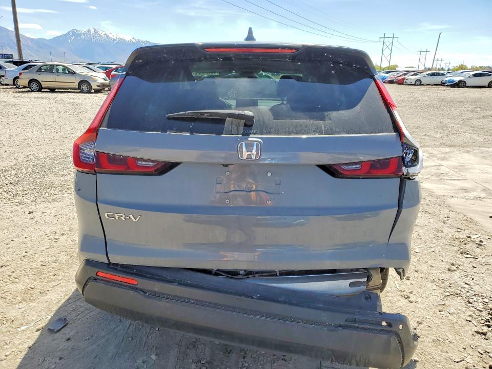 49174006 :رقم المزاد ، 2HKRS4H77RH416914 vin ، 2024 Honda Cr-v مزاد بيع