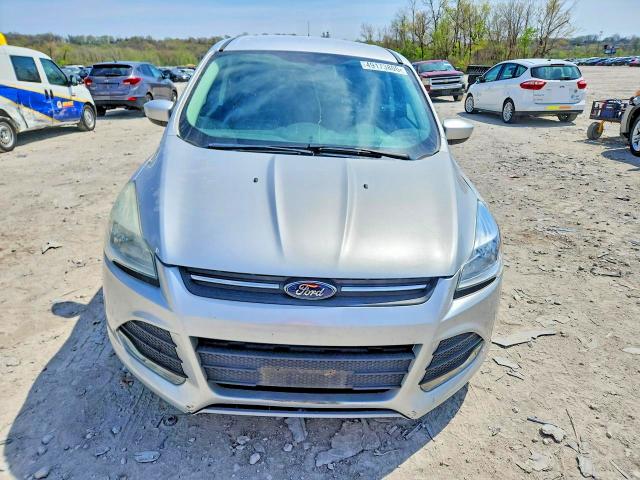Aukcja sprzedaży 2014 Ford Escape, vin: 1FMCU0GX9EUE39844, numer aukcji: 49173806