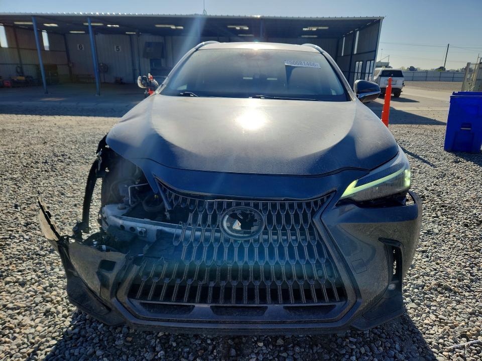 50681466 :رقم المزاد ، 2T2GKCEZ1NC004911 vin ، 2022 Lexus Nx مزاد بيع