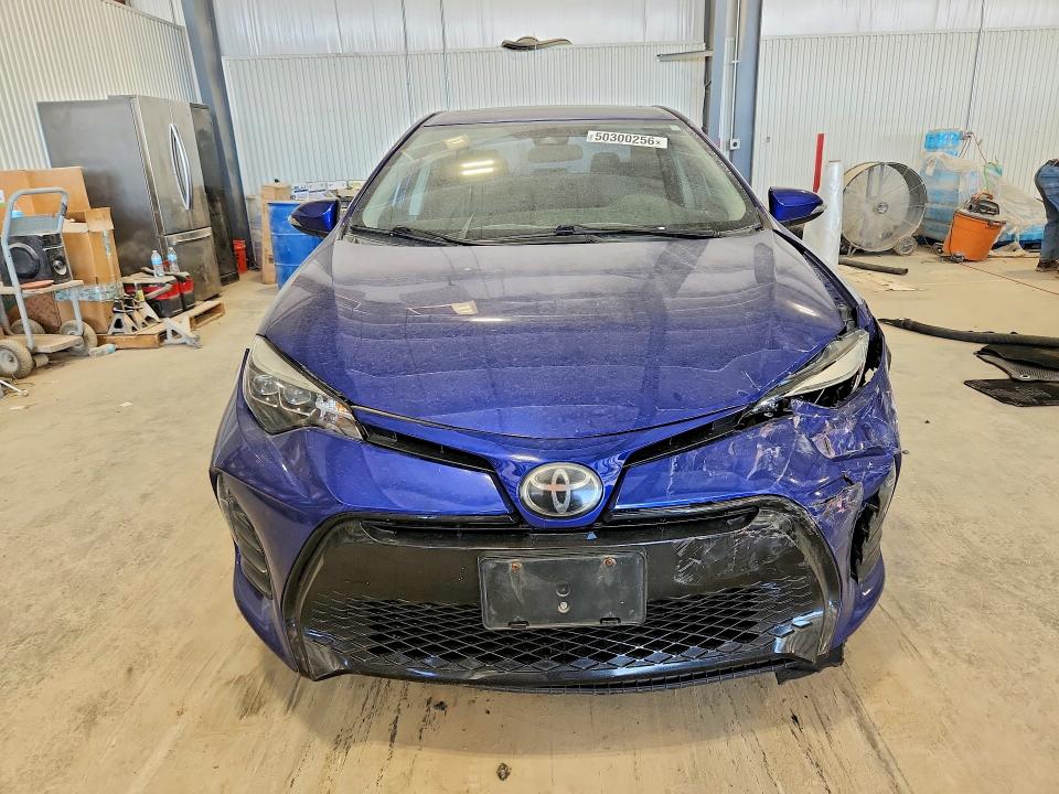 50300256 :رقم المزاد ، 5YFBURHE1KP905583 vin ، 2019 Toyota Corolla مزاد بيع