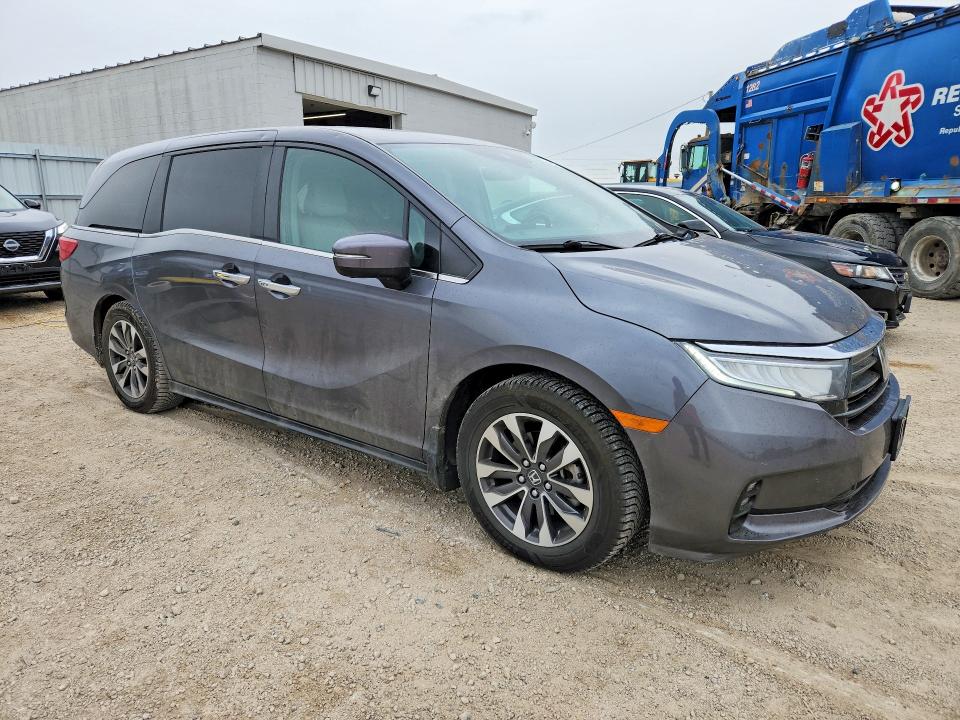 Продаж на аукціоні авто 2023 Honda Odyssey, vin: 5FNRL6H62PB059072, номер лоту: 51857466
