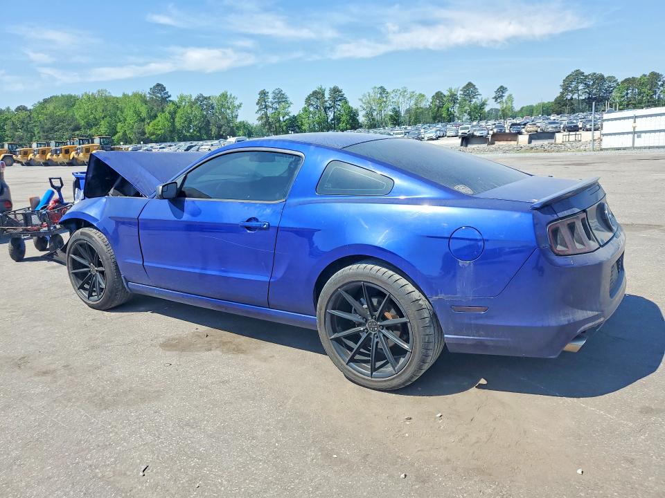 Продажа на аукционе авто 2014 Ford Mustang, vin: 1ZVBP8AM6E5327918, номер лота: 49995636