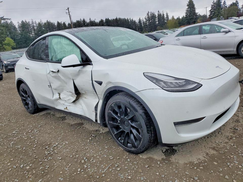51280816 :رقم المزاد ، 5YJYGDEE5MF097486 vin ، 2021 Tesla Model Y مزاد بيع