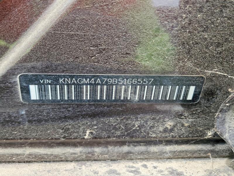 2011 Kia Optima მანქანა იყიდება აუქციონზე, vin: KNAGM4A79B5166557, აუქციონის ნომერი: 51021976