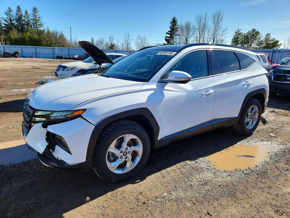 Auction sale of the 2022 Hyundai Tucson, vin: KM8JCCAE3NU123178, lot number: 50095166