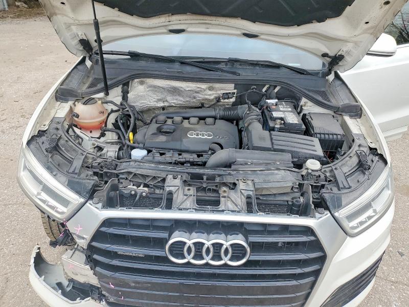 50816776 :رقم المزاد ، WA1GCCFS6HR005687 vin ، 2017 Audi Q3 مزاد بيع