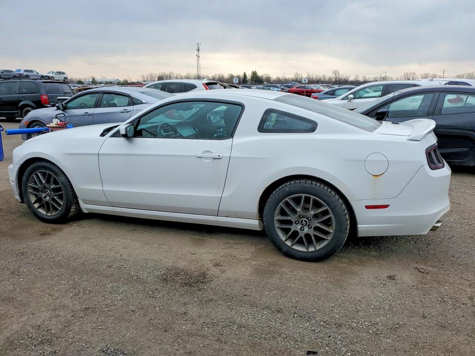 Продаж на аукціоні авто 2014 Ford Mustang 2dr, vin: 1ZVBP8AM8E5323384, номер лоту: 48687356