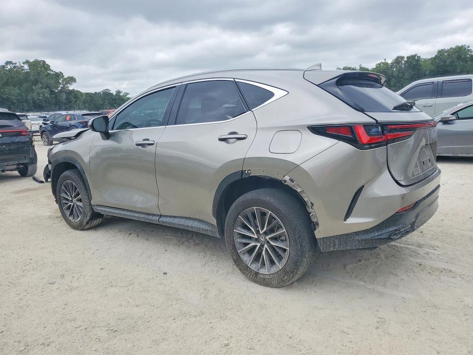 Продажа на аукционе авто 2024 Lexus Nx, vin: 2T2GGCEZ9RC050056, номер лота: 50496316