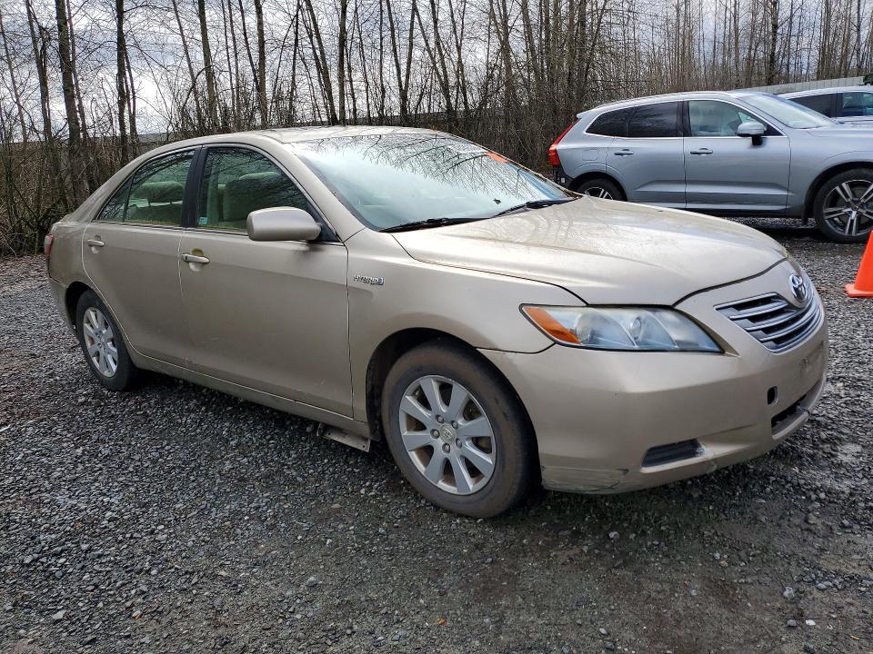 48499376 :رقم المزاد ، JTNBB46K873036591 vin ، 2007 Toyota Camry مزاد بيع