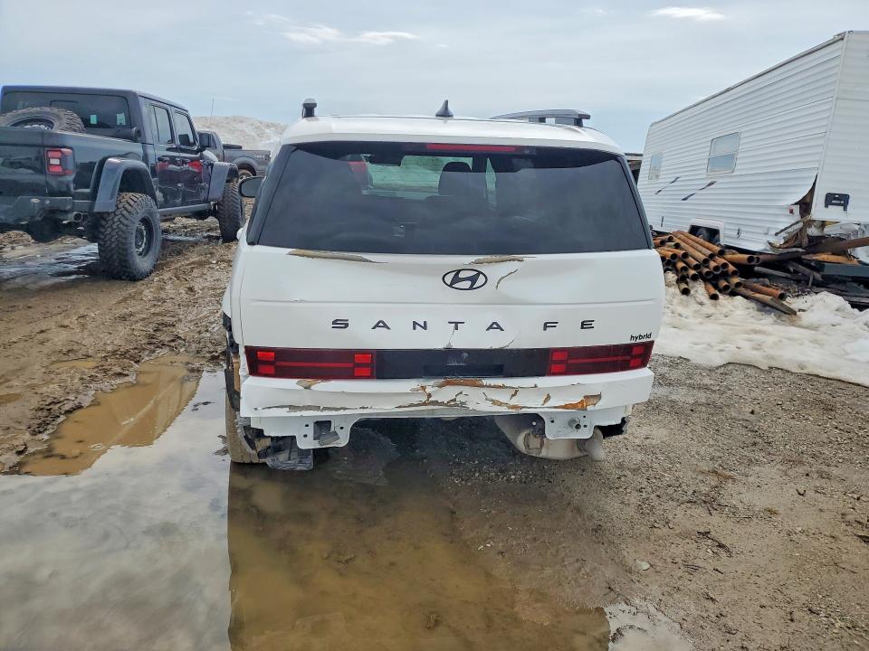 49968506 :رقم المزاد ، KM8P5DG10RU034897 vin ، 2024 Hyundai Santa Fe مزاد بيع