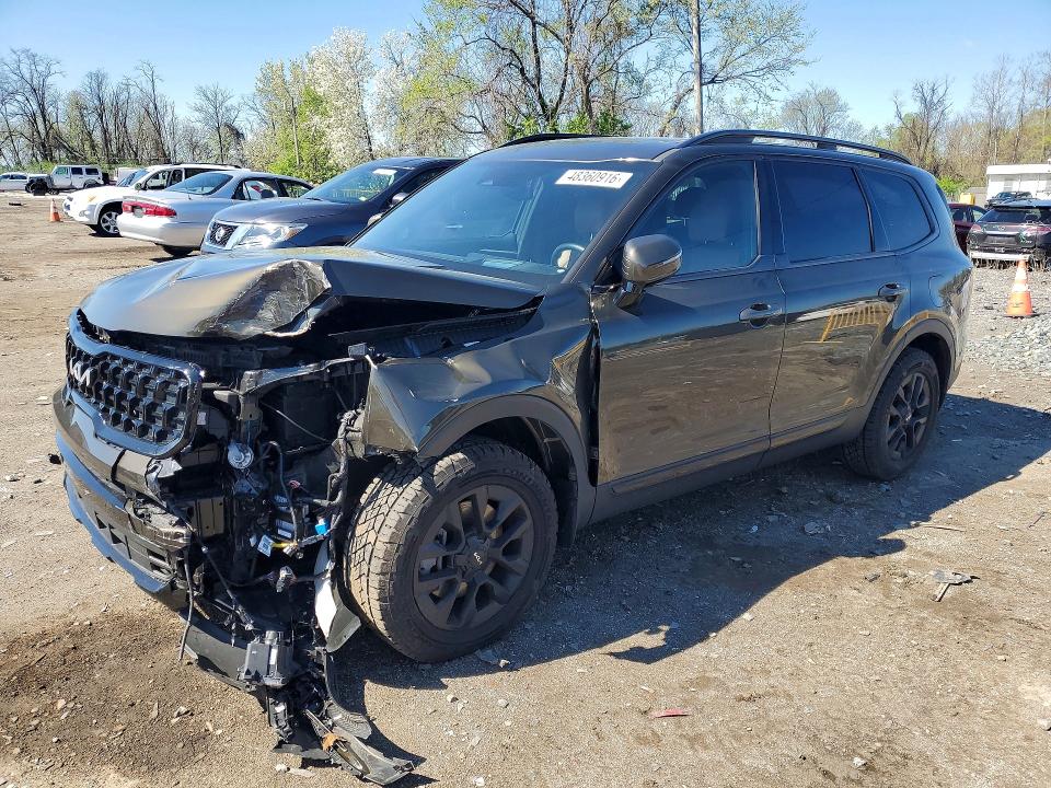 Продаж на аукціоні авто 2024 Kia Telluride, vin: 5XYP5DGC8RG474664, номер лоту: 48360916