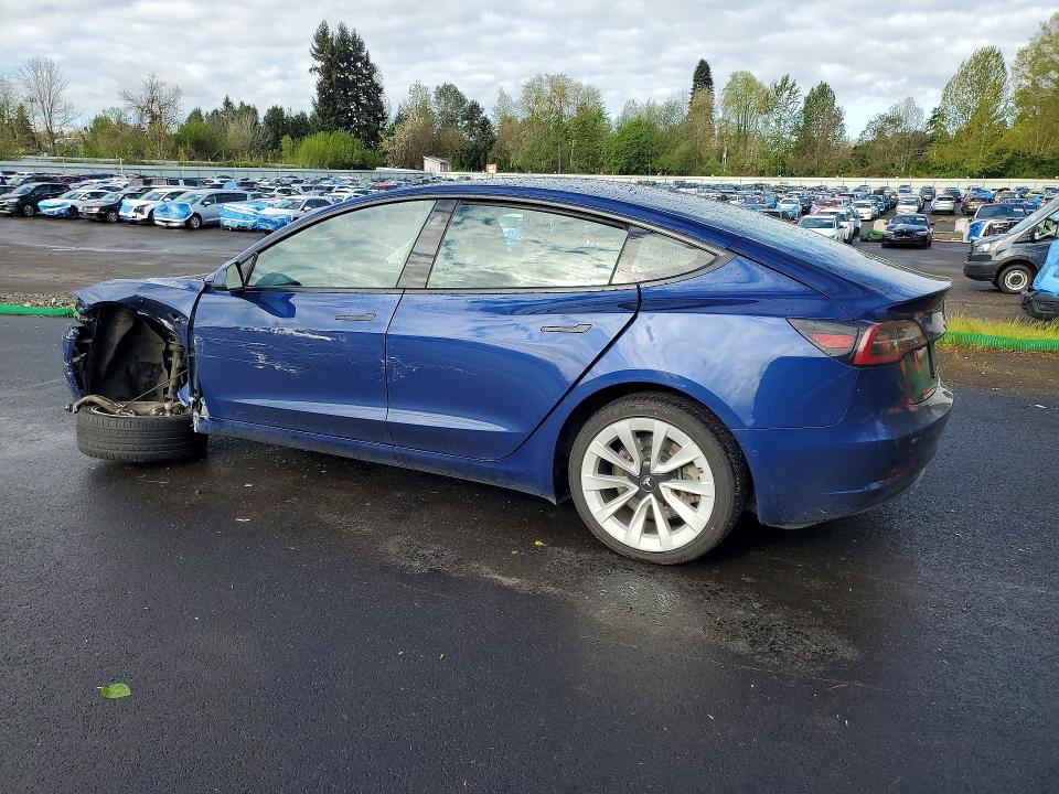 Продаж на аукціоні авто 2022 Tesla Model 3, vin: 5YJ3E1EA5NF369869, номер лоту: 50319836