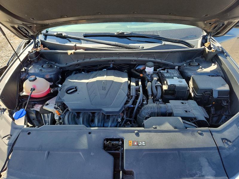 2024 Hyundai Tucson მანქანა იყიდება აუქციონზე, vin: 5NMJFCDE1RH310181, აუქციონის ნომერი: 50954906