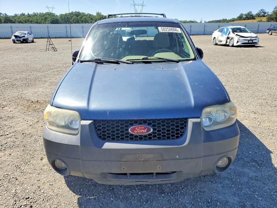 50259606 :رقم المزاد ، 1FMYU93165KB76400 vin ، 2005 Ford Escape مزاد بيع