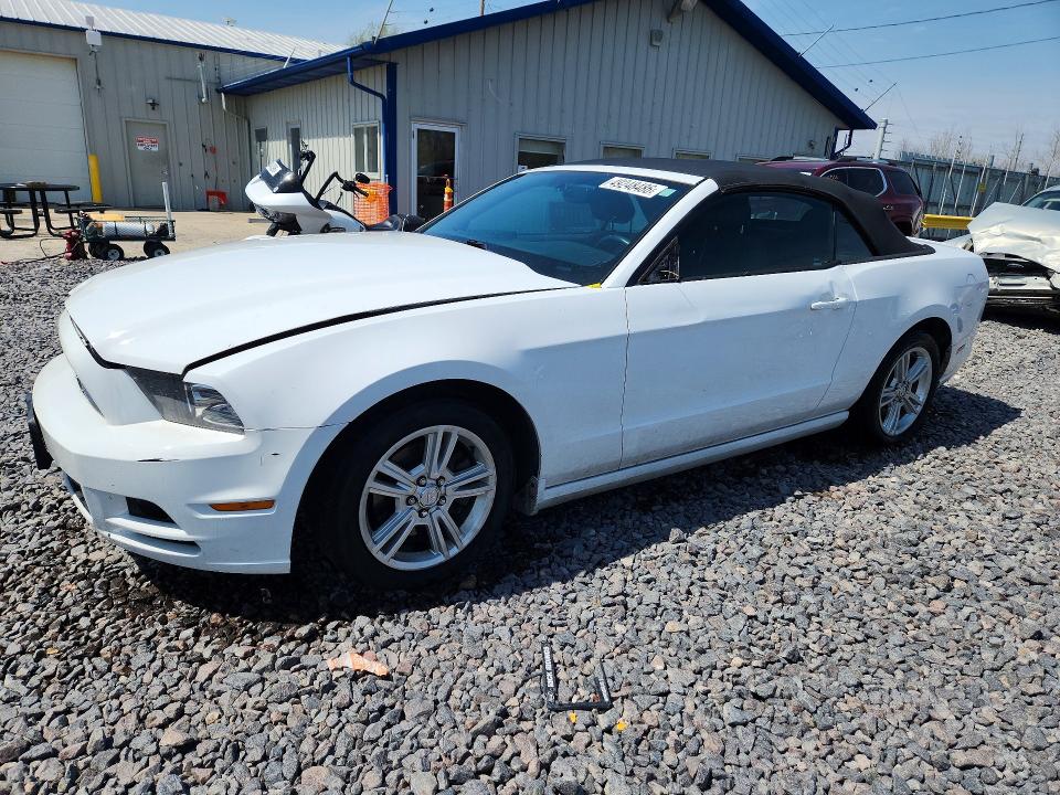 2014 Ford Mustang მანქანა იყიდება აუქციონზე, vin: 1ZVBP8EM3E5313923, აუქციონის ნომერი: 49248486