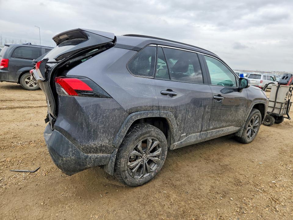 49810056 :رقم المزاد ، 2T3RWRFV3SW252885 vin ، 2025 Toyota Rav4 Hybrid مزاد بيع