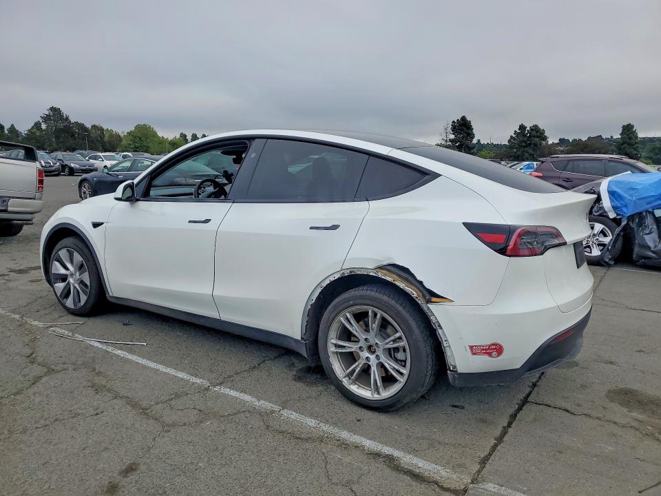 Продаж на аукціоні авто 2024 Tesla Model Y, vin: 7SAYGAEE2RF054149, номер лоту: 49098196