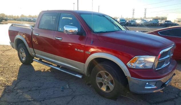 Продаж на аукціоні авто 2010 Dodge Ram 1500, vin: 1D7RB1CT3AS141329, номер лоту: 50359556