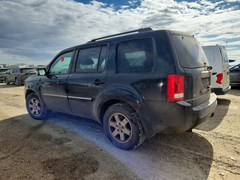 50485126 :رقم المزاد ، 5FNYF4H98AB504200 vin ، 2010 Honda Pilot مزاد بيع