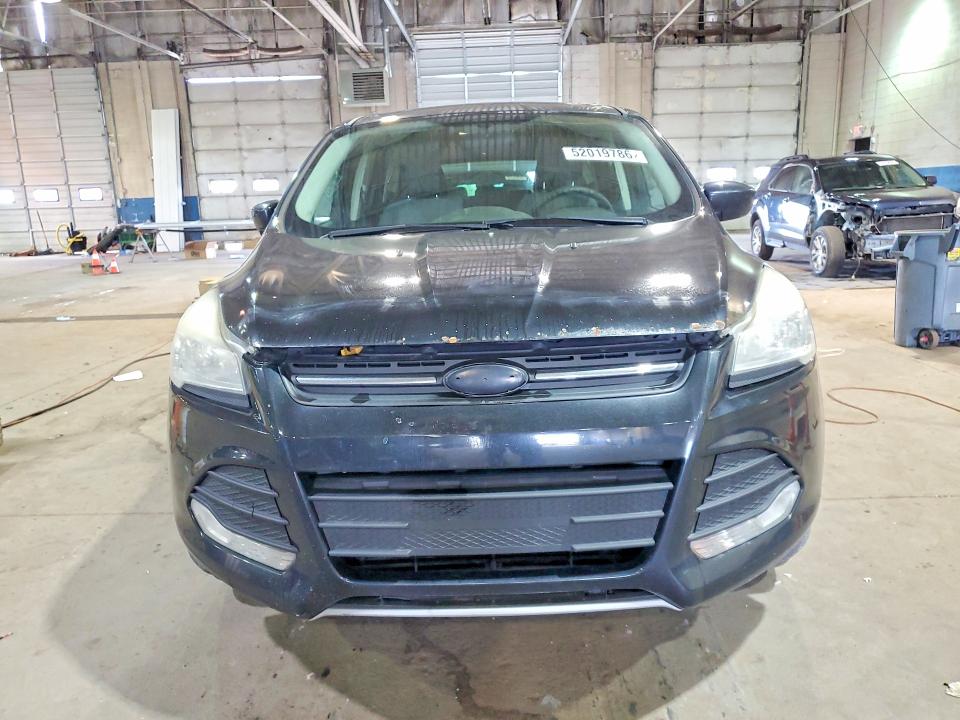 Продаж на аукціоні авто 2015 Ford Escape, vin: 1FMCU0G7XFUA06390, номер лоту: 52019786