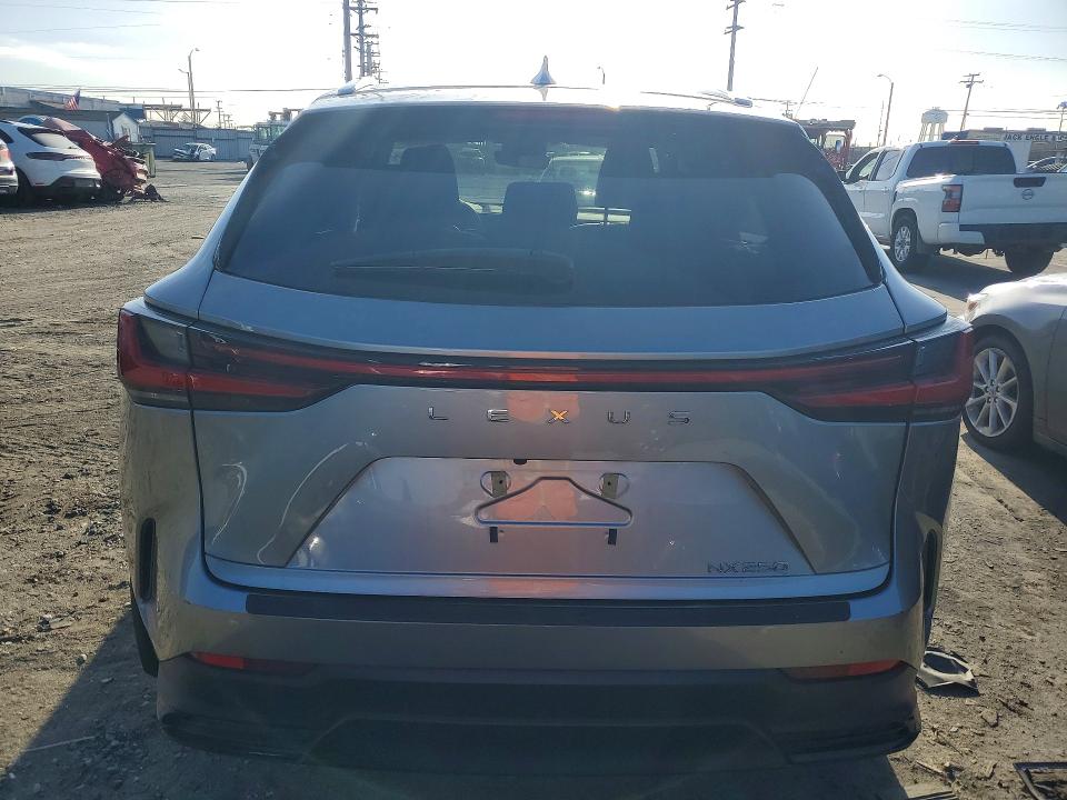 2024 Lexus Nx 250 მანქანა იყიდება აუქციონზე, vin: 2T2ADCAZ2RC013077, აუქციონის ნომერი: 49958906