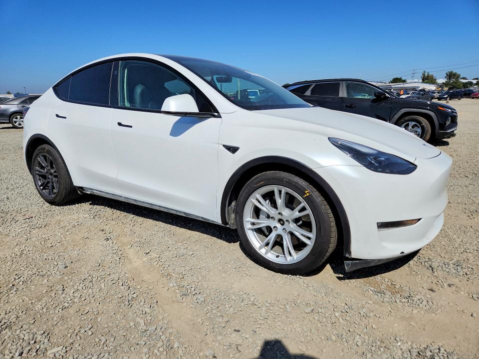 Продаж на аукціоні авто 2024 Tesla Model Y, vin: 7SAYGAEEXRF168142, номер лоту: 48300726