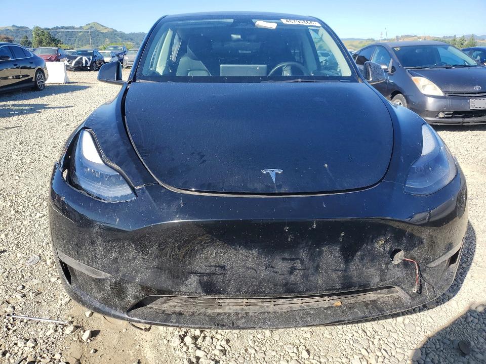 Продаж на аукціоні авто 2023 Tesla Model Y, vin: 7SAYGAEE9PF928669, номер лоту: 48796866