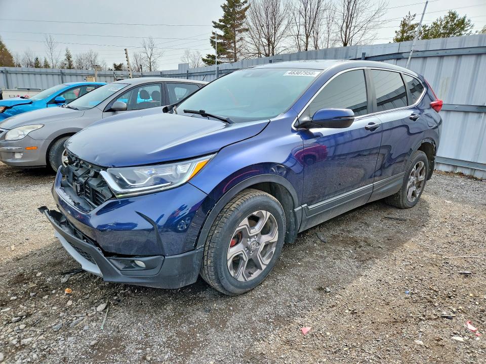 48307956 :رقم المزاد ، 2HKRW2H55KH144571 vin ، 2019 Honda Cr-v مزاد بيع