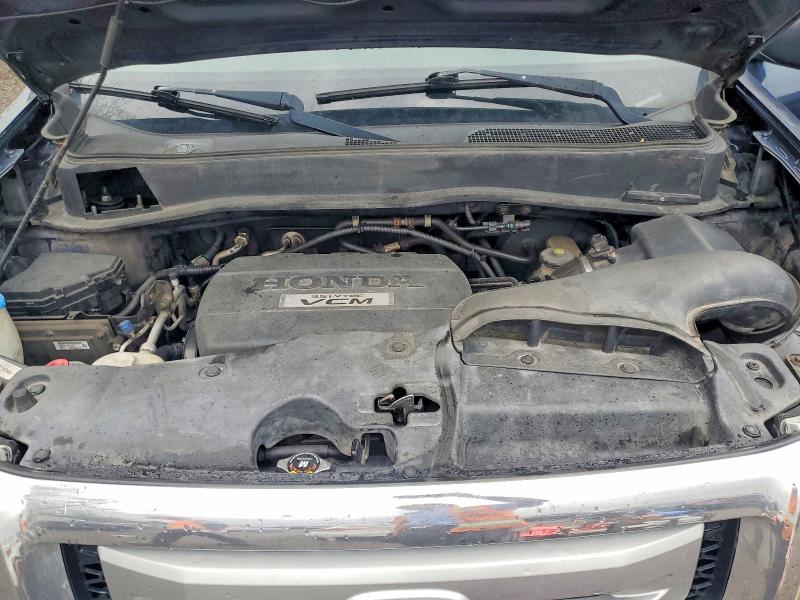50052306 :رقم المزاد ، 5FNYF48269B501455 vin ، 2009 Honda Pilot مزاد بيع