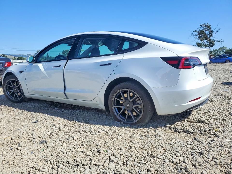 Продаж на аукціоні авто 2023 Tesla Model 3, vin: 5YJ3E1EA9PF403024, номер лоту: 48480646