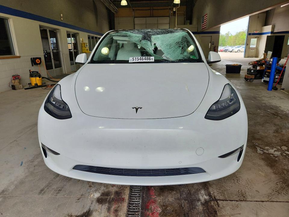 Aukcja sprzedaży 2021 Tesla Model Y, vin: 5YJYGAEE4MF183550, numer aukcji: 51546486