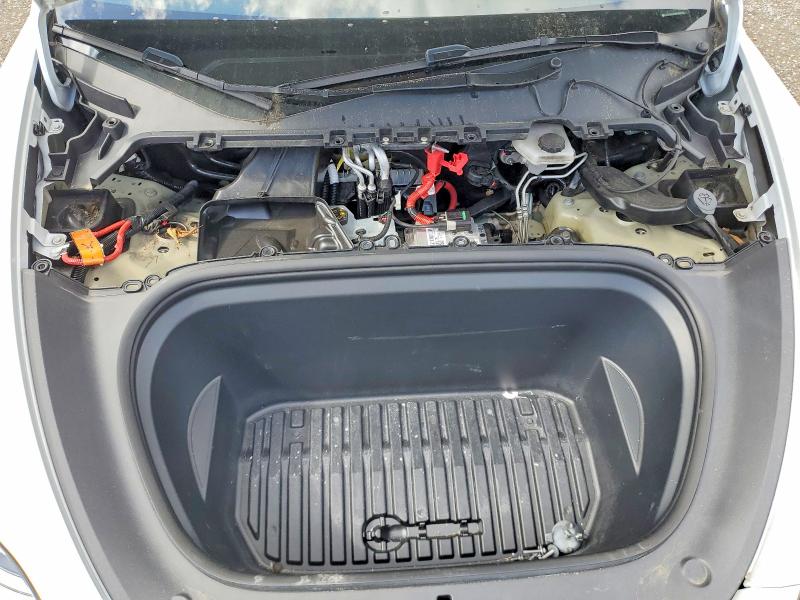 Продаж на аукціоні авто 2024 Tesla Model Y, vin: 7SAYGAEE1RF988979, номер лоту: 49667596