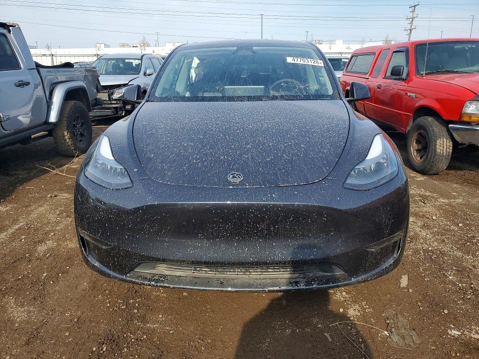 Продаж на аукціоні авто 2024 Tesla Model Y, vin: 7SAYGDEF0RF181749, номер лоту: 47703126