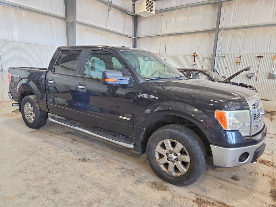 51167456 :رقم المزاد ، 1FTFW1ETXDKE34373 vin ، 2013 Ford F150 مزاد بيع