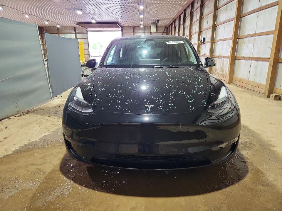 Продаж на аукціоні авто 2023 Tesla Model Y, vin: 7SAYGDEF4PF788069, номер лоту: 51375286