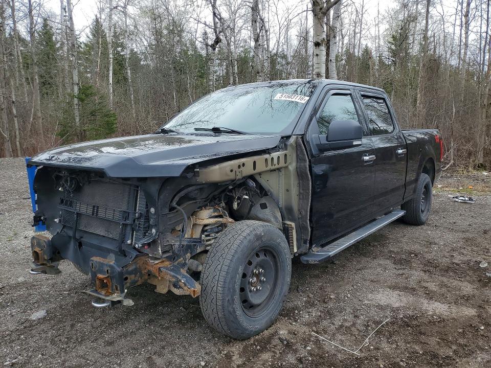 51503116 :رقم المزاد ، 1FTFW1EF3GFC91841 vin ، 2016 Ford F150 مزاد بيع
