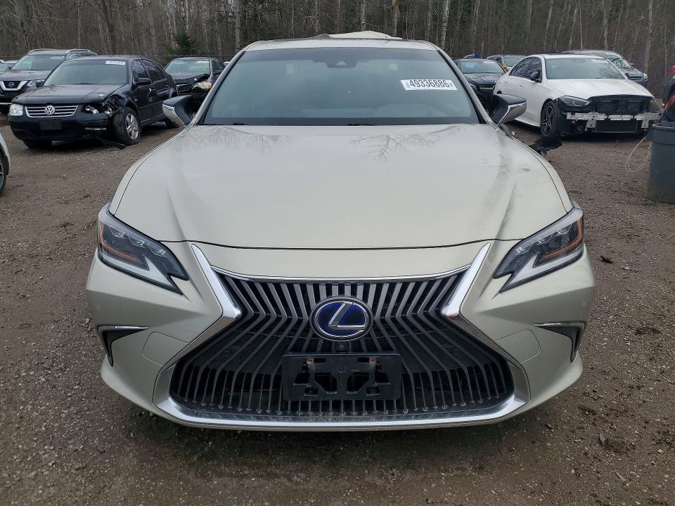 Продаж на аукціоні авто 2019 Lexus Es, vin: JTHB21B11K2012033, номер лоту: 49336886