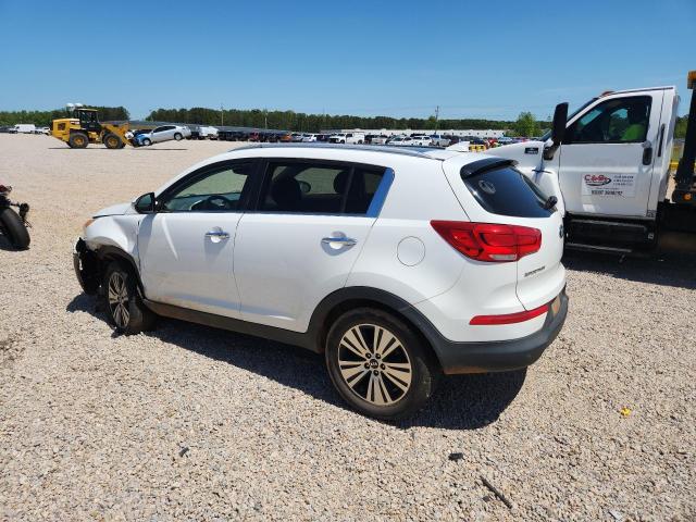Продаж на аукціоні авто 2014 Kia Sportage, vin: KNDPC3AC1E7635176, номер лоту: 49484166