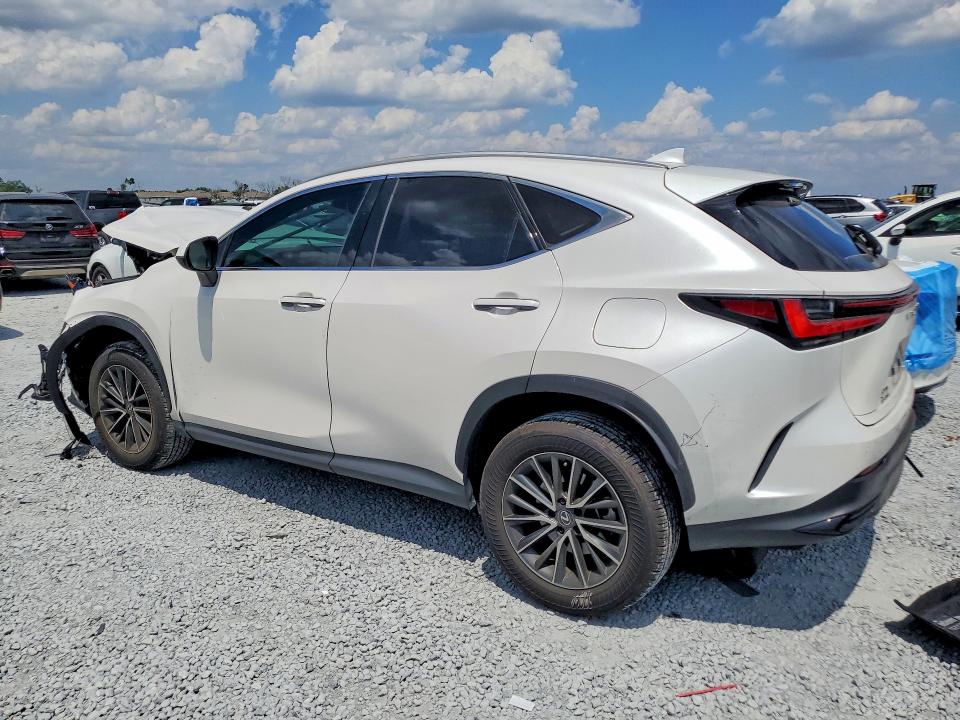 Aukcja sprzedaży 2025 Lexus Nx 250, vin: 2T2ADCAZ7SC018913, numer aukcji: 51534706