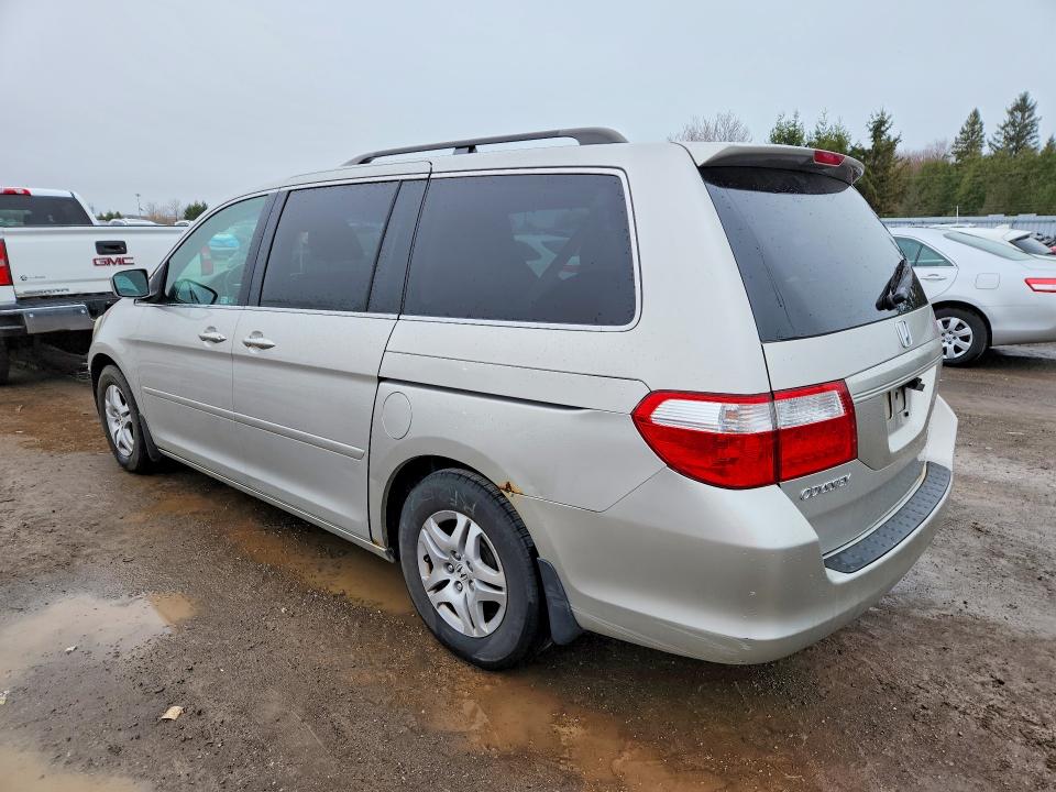 Продаж на аукціоні авто 2007 Honda Odyssey, vin: 5FNRL386X7B505628, номер лоту: 49813646