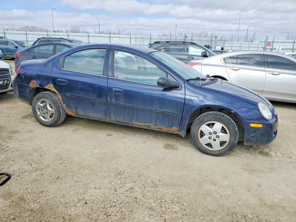 Продаж на аукціоні авто 2005 Dodge Neon, vin: 1B3ES46C55D143195, номер лоту: 49432886